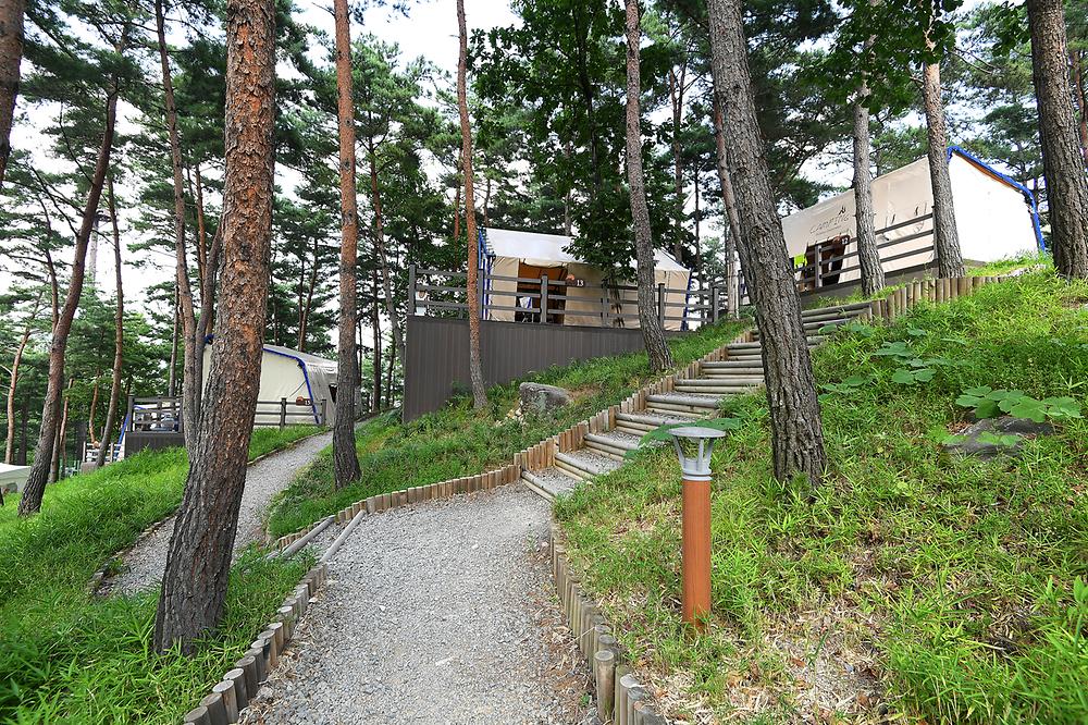 한방자연휴양림