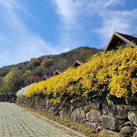 함양용추오토캠핑장