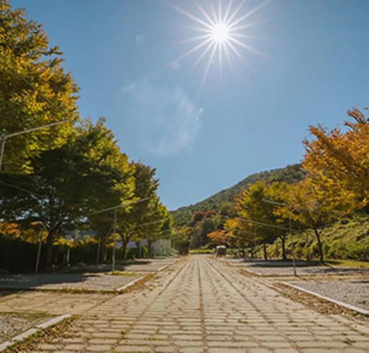함양용추오토캠핑장