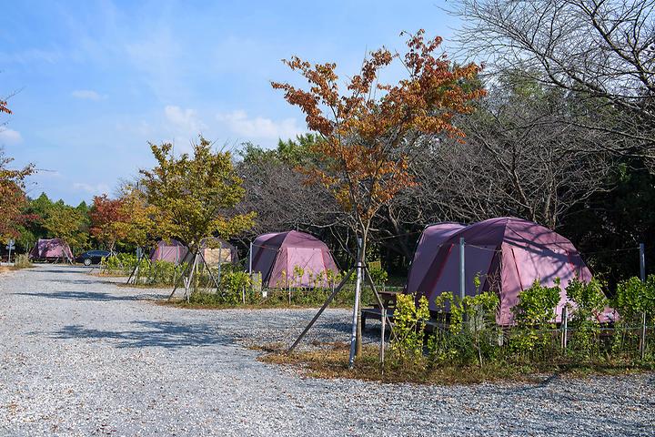 함평나비마을 서울캠핑장