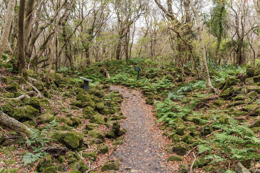 교래자연휴양림야영장