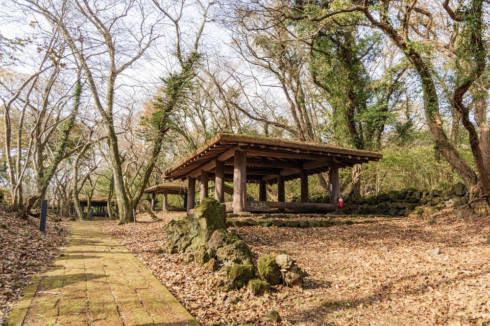 교래자연휴양림야영장