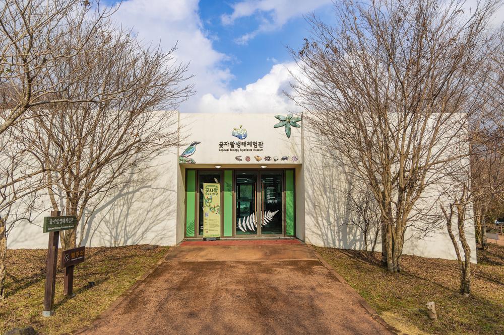 교래자연휴양림야영장