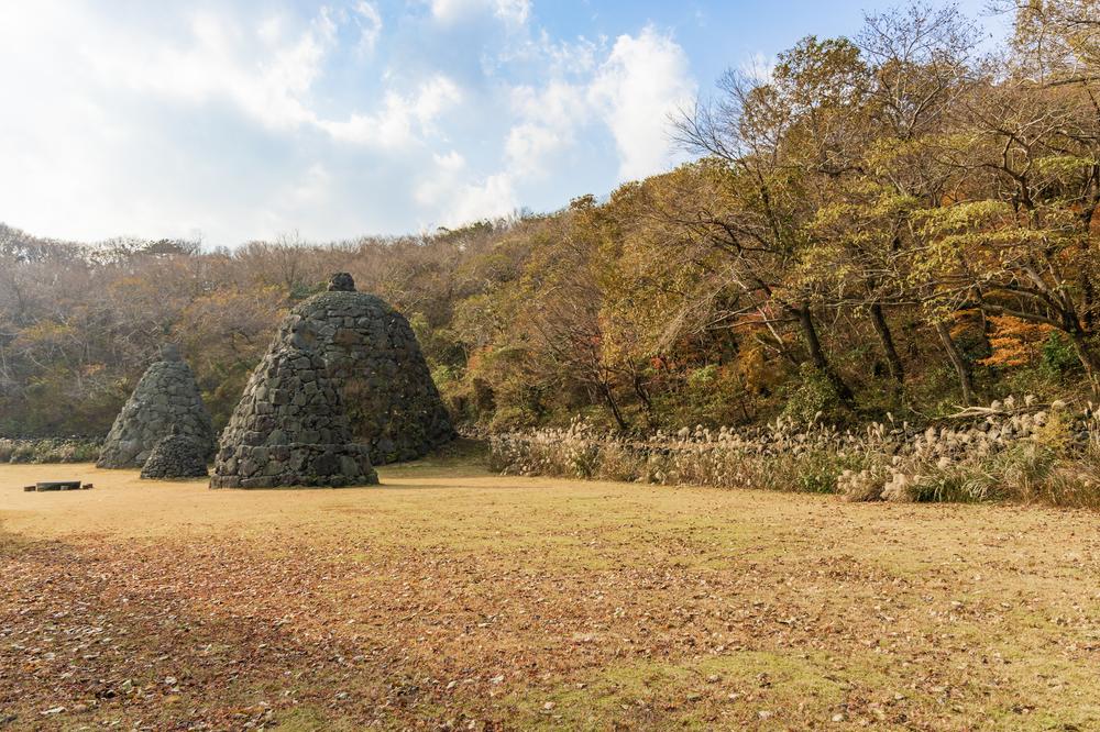 교래자연휴양림야영장