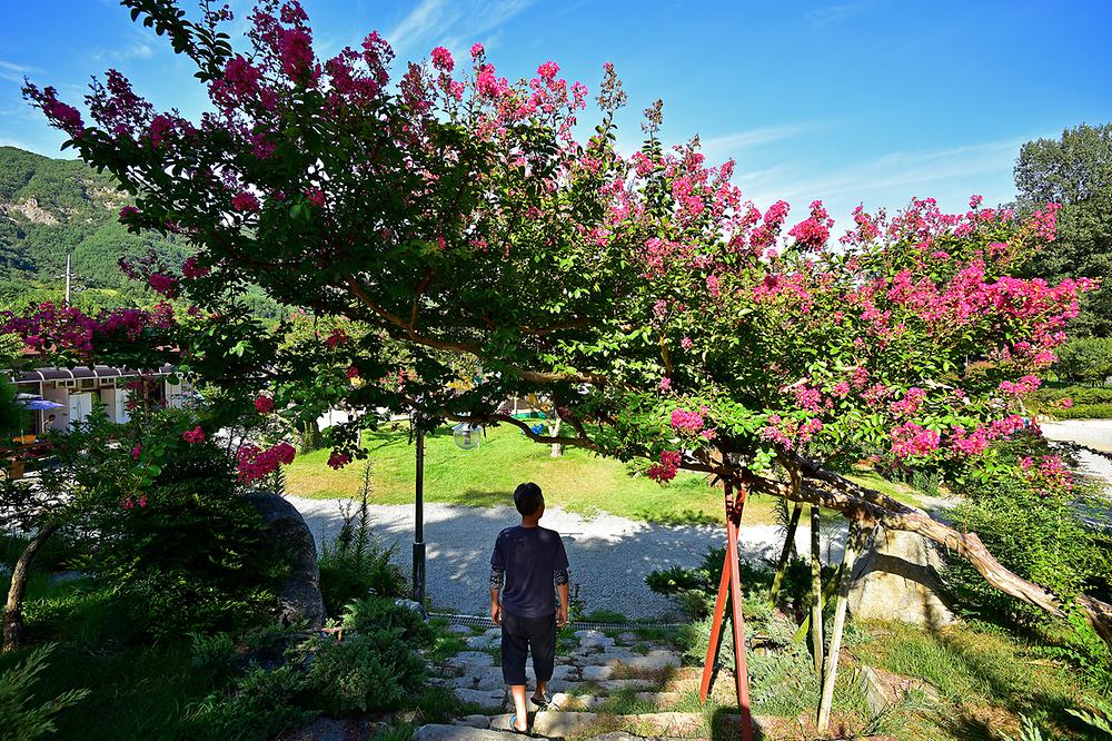 합천휴테마파크