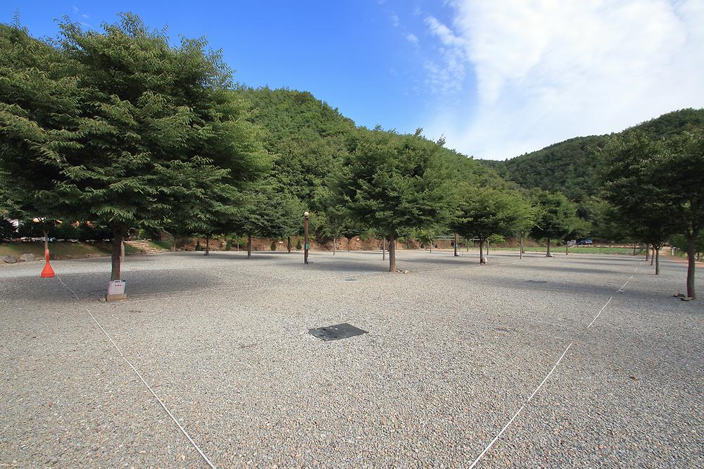 해바라기캠핑장