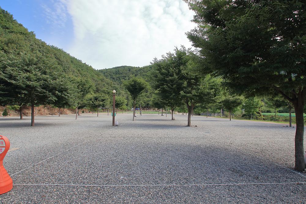 해바라기캠핑장