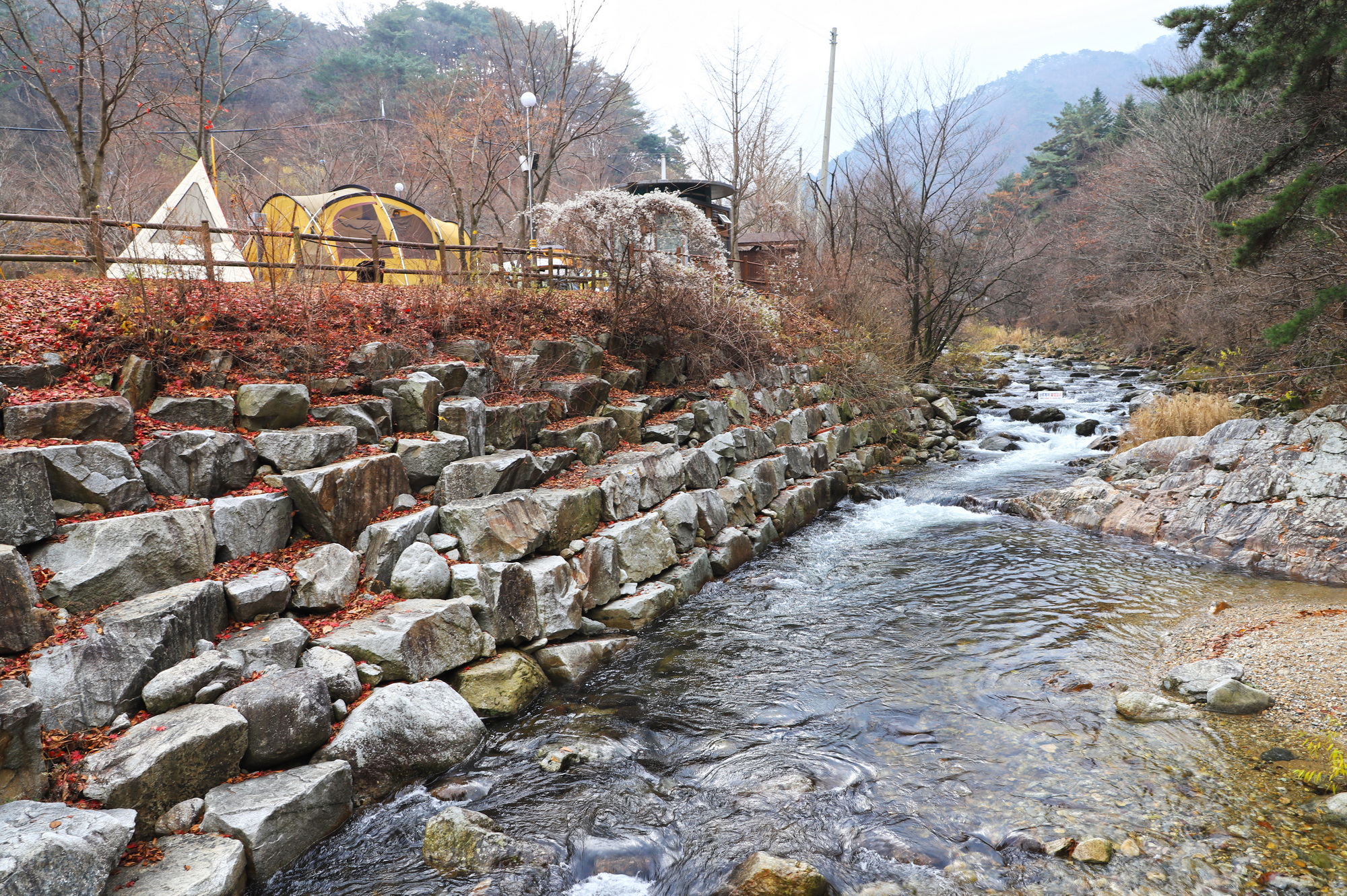 구룡자동차야영장(치악산국립공원)