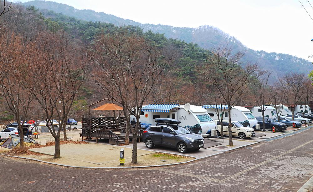 구룡자동차야영장(치악산국립공원)