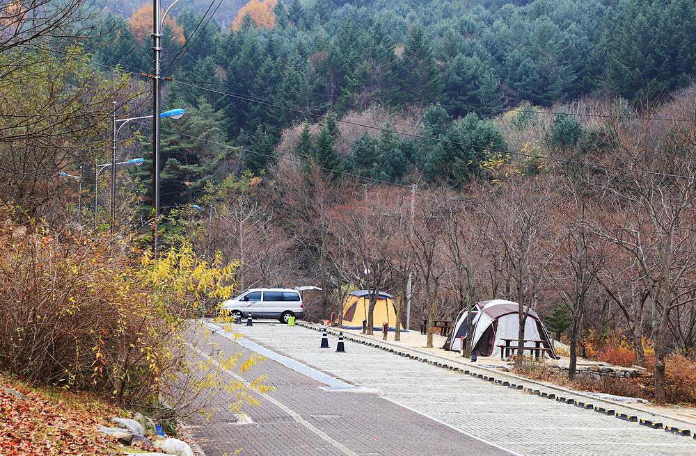 구룡자동차야영장(치악산국립공원)
