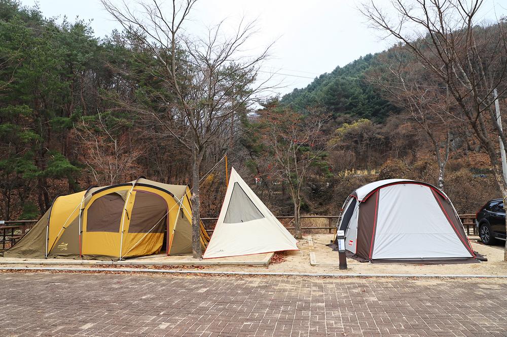 구룡자동차야영장(치악산국립공원)