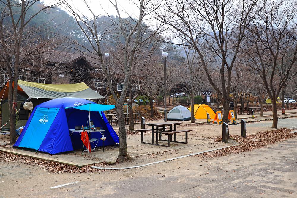 구룡자동차야영장(치악산국립공원)