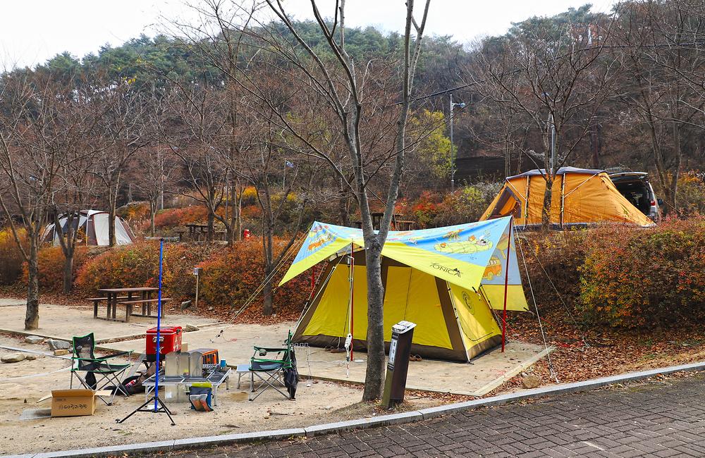 구룡자동차야영장(치악산국립공원)
