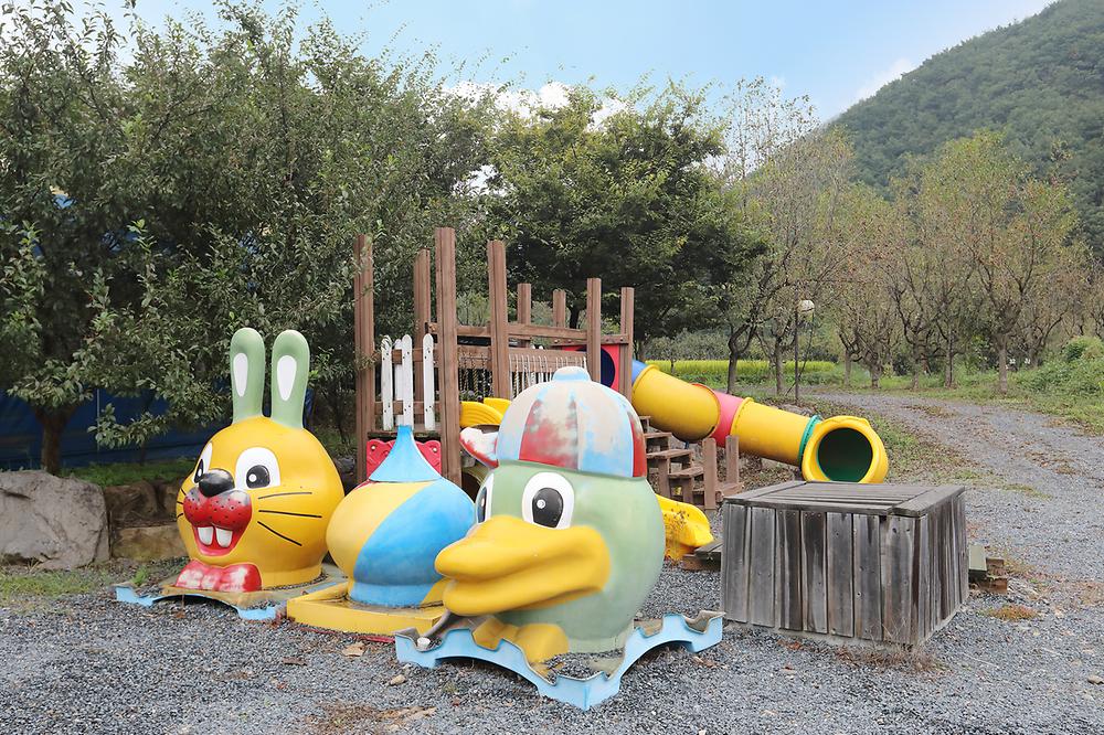 화이트 오토캠핑장