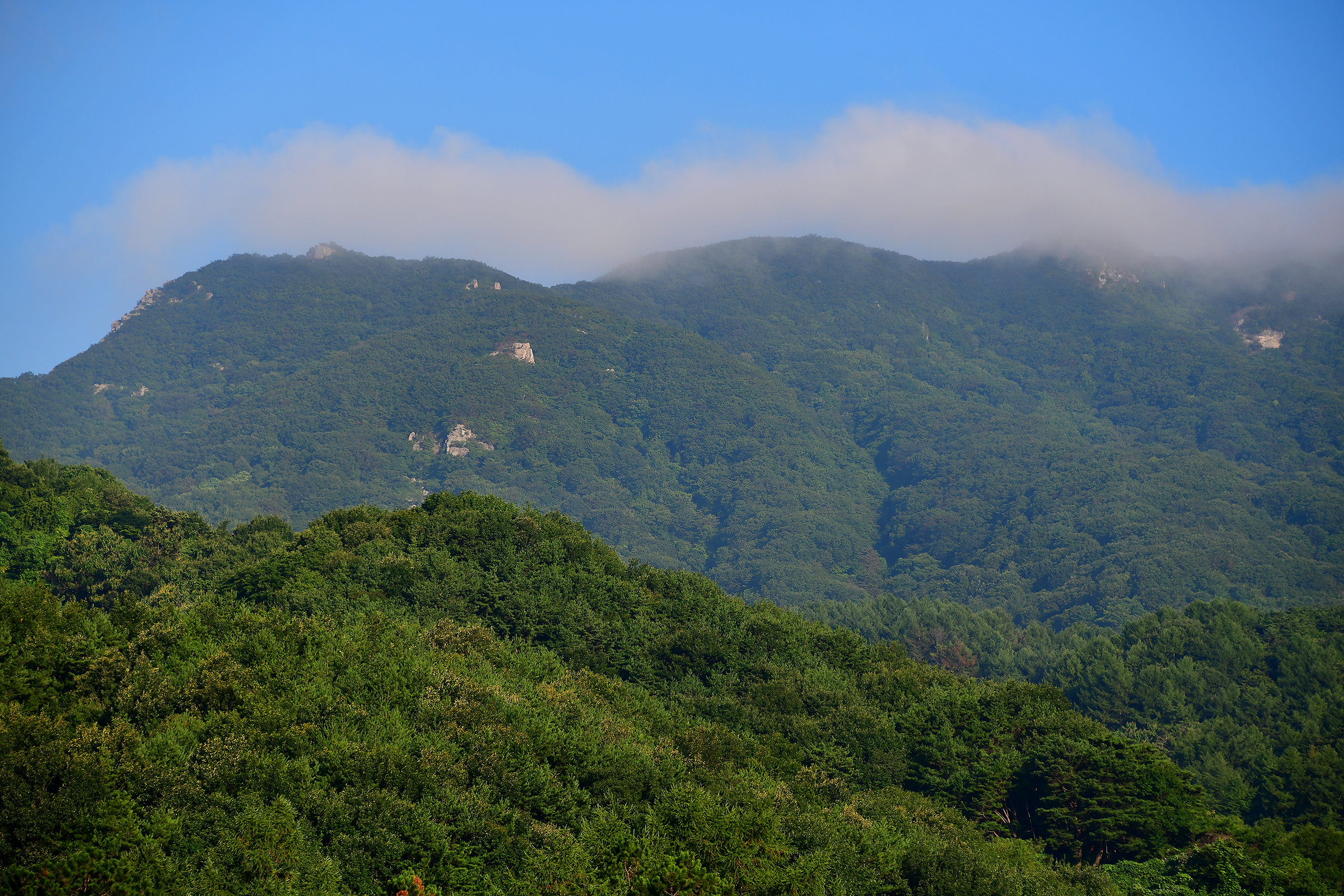황매산 별쿵 캠핑장