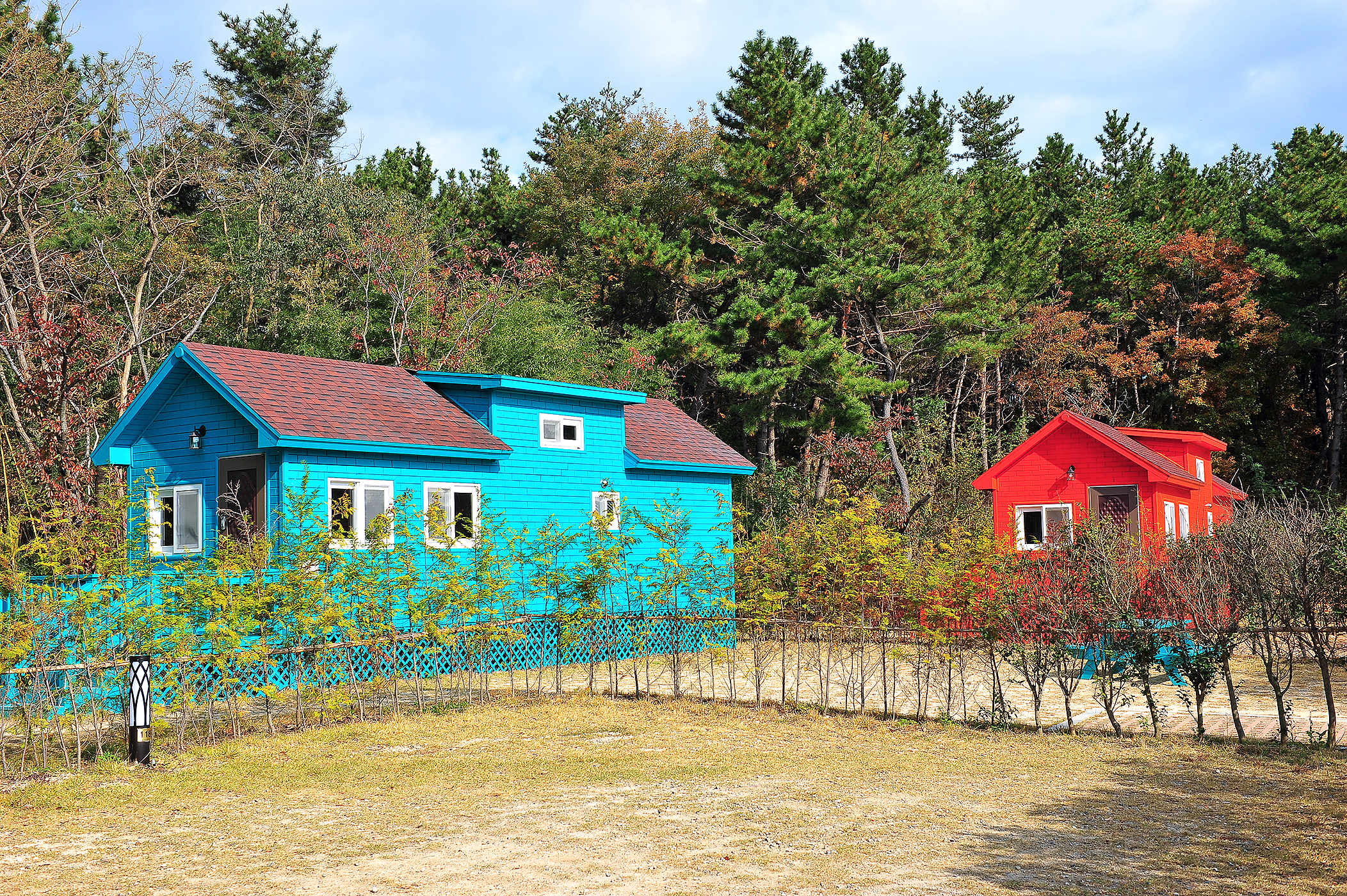 황방산생태야영장