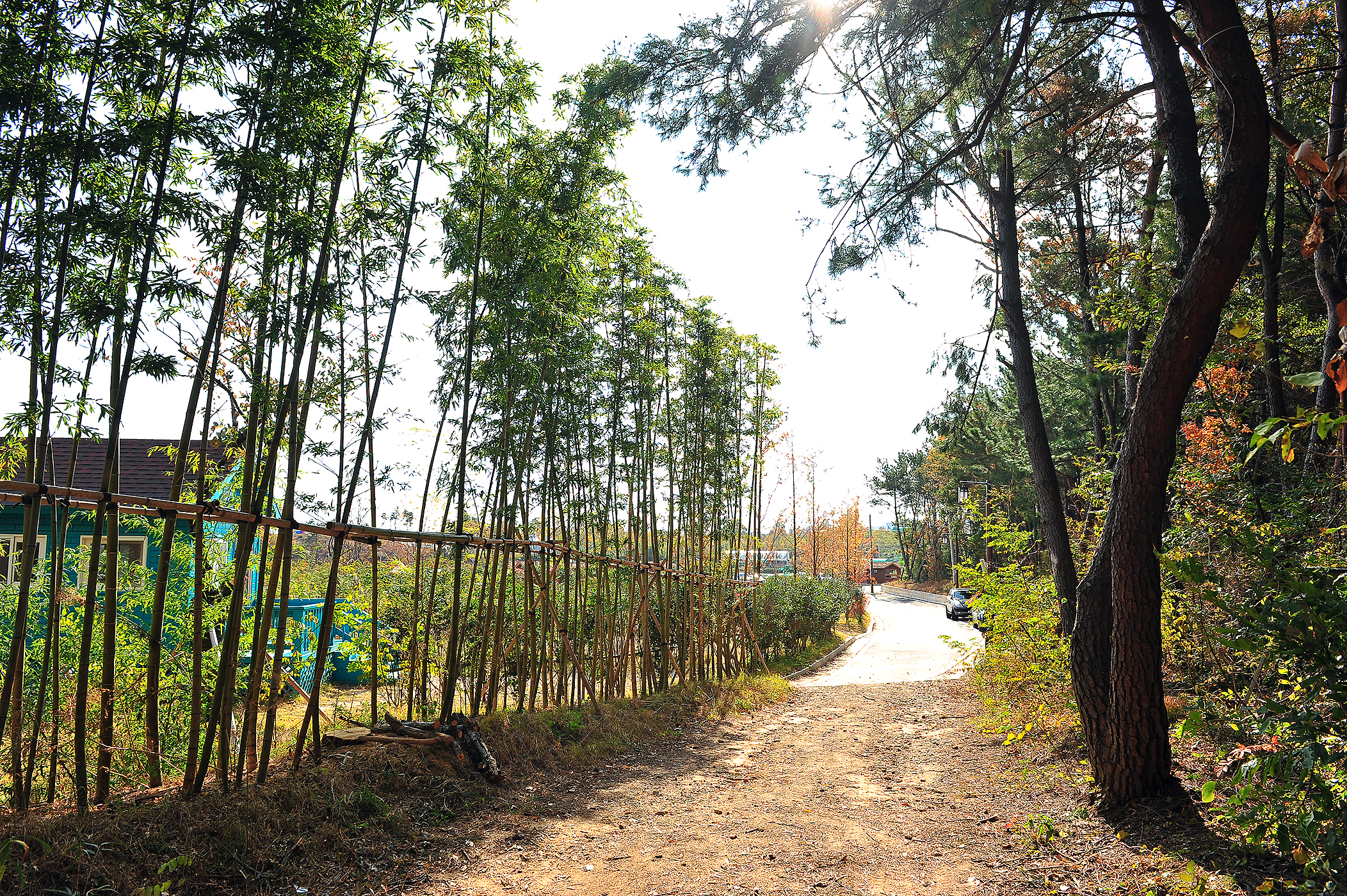 황방산생태야영장