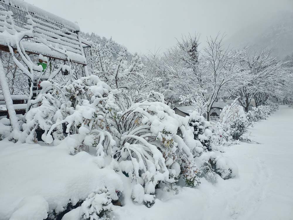 횡성산울림오토캠핑장