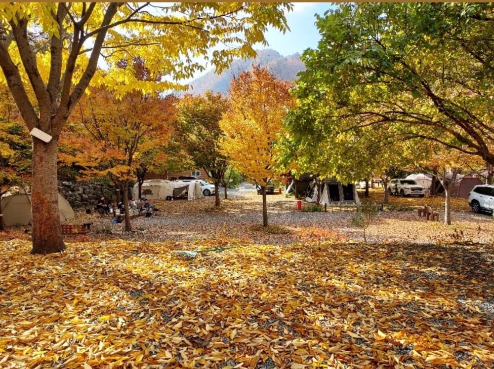 횡성산울림오토캠핑장