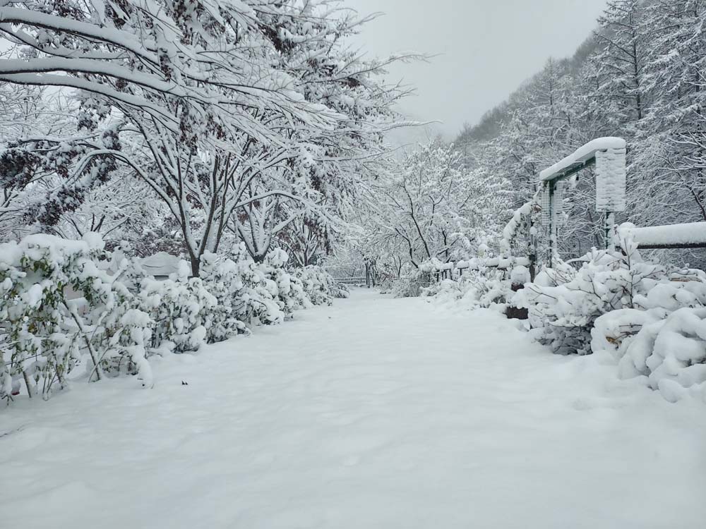 횡성산울림오토캠핑장