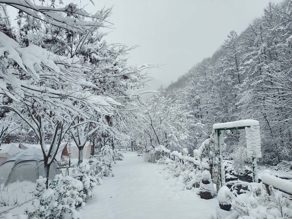횡성산울림오토캠핑장