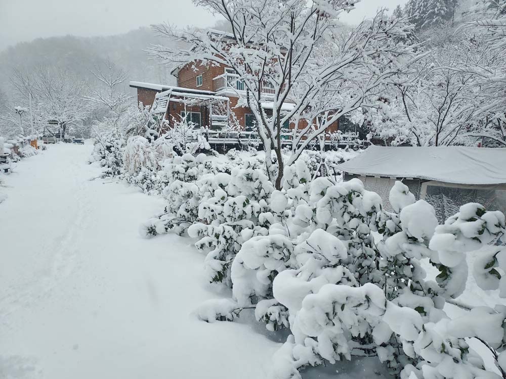횡성산울림오토캠핑장