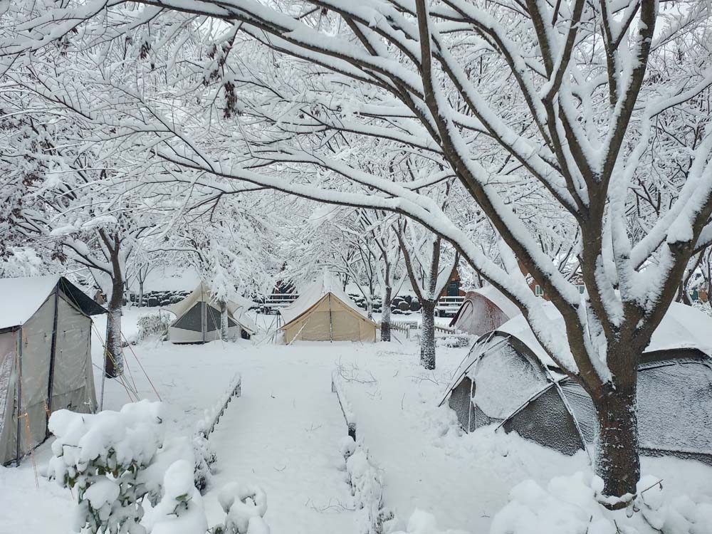 횡성산울림오토캠핑장