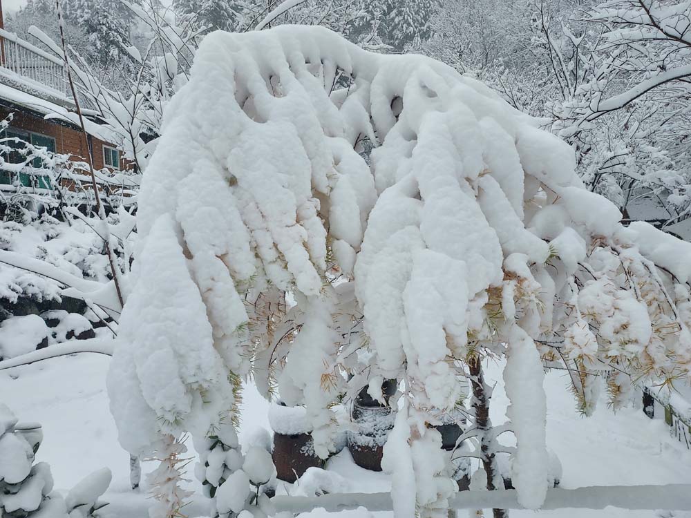 횡성산울림오토캠핑장
