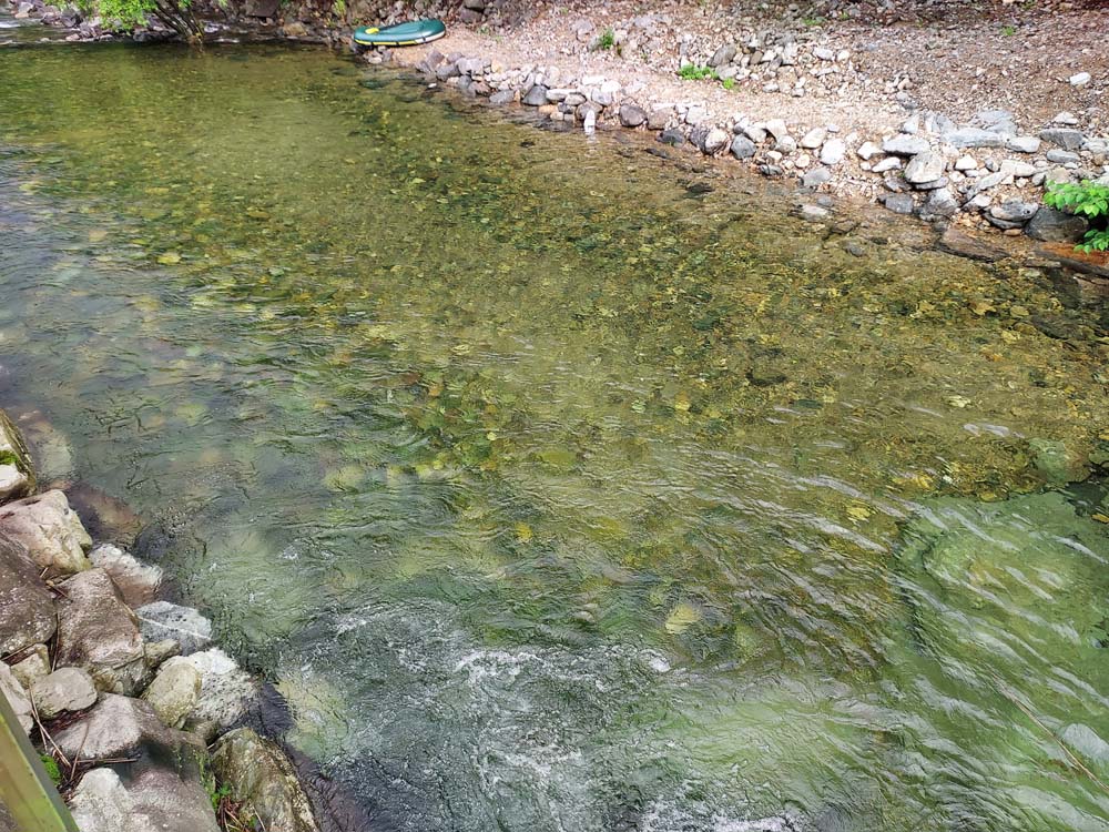 횡성산울림오토캠핑장