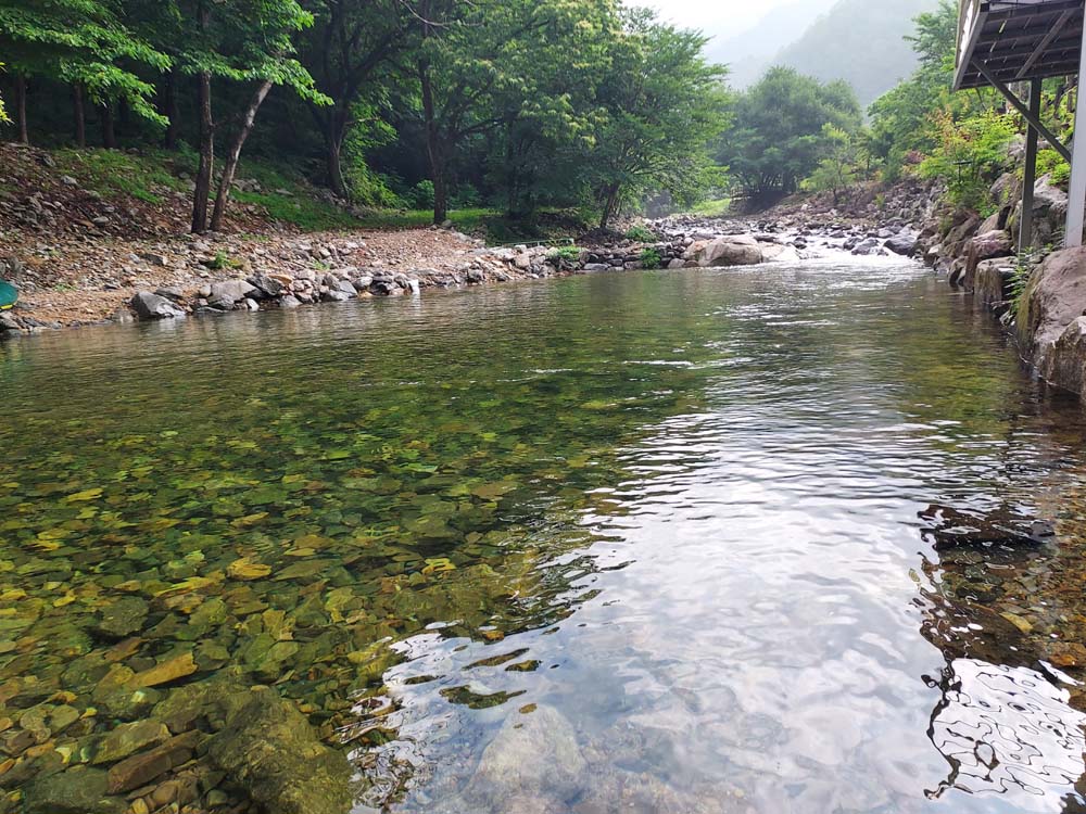 횡성산울림오토캠핑장