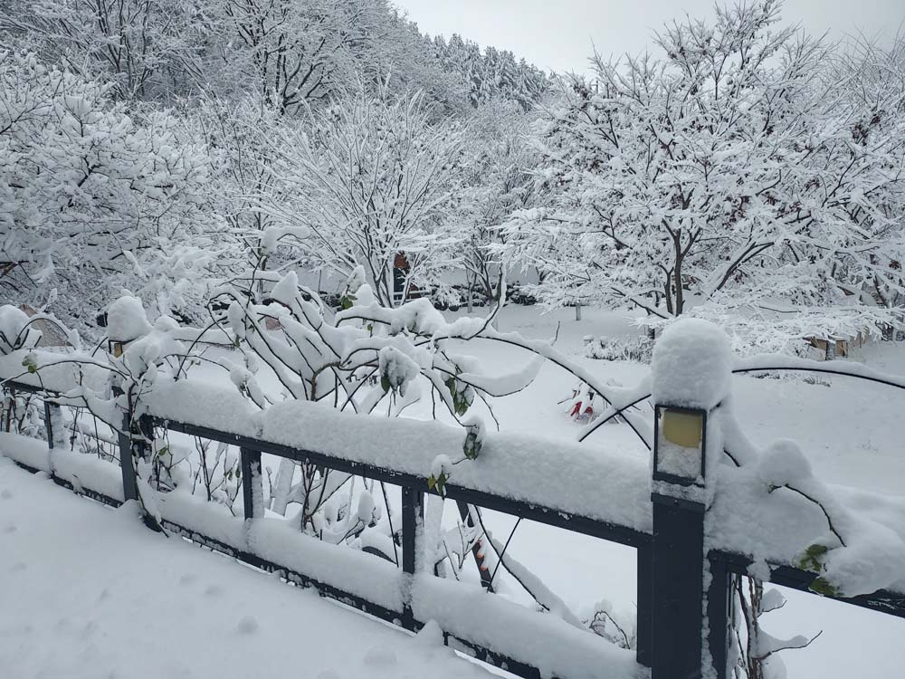 횡성산울림오토캠핑장