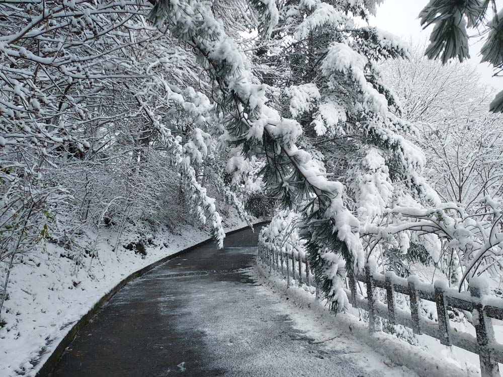 횡성산울림오토캠핑장
