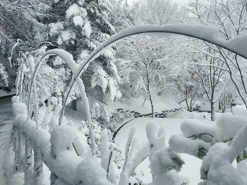 횡성산울림오토캠핑장
