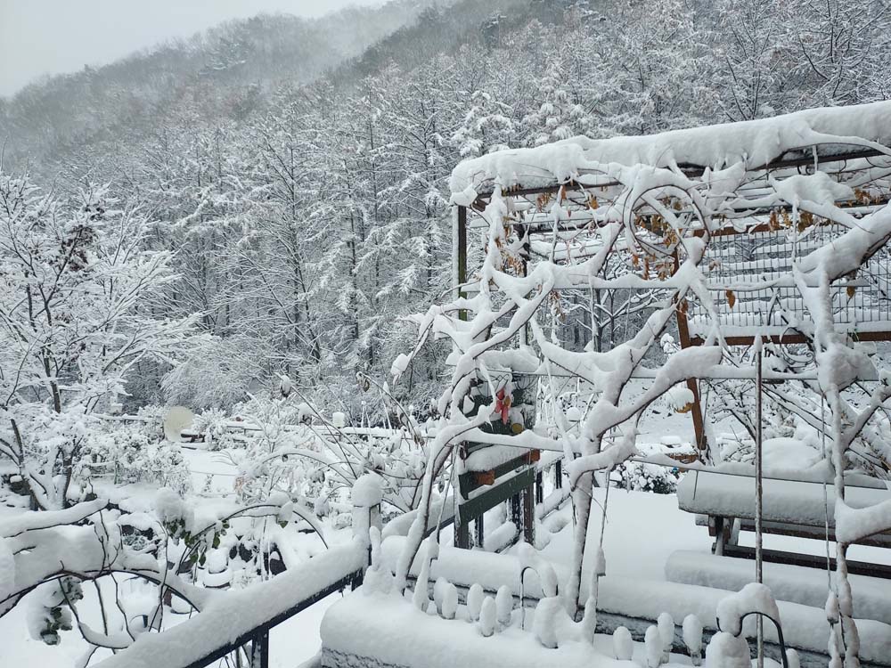 횡성산울림오토캠핑장