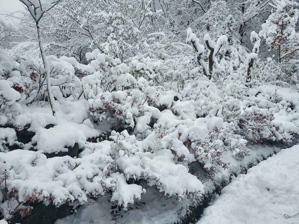 횡성산울림오토캠핑장