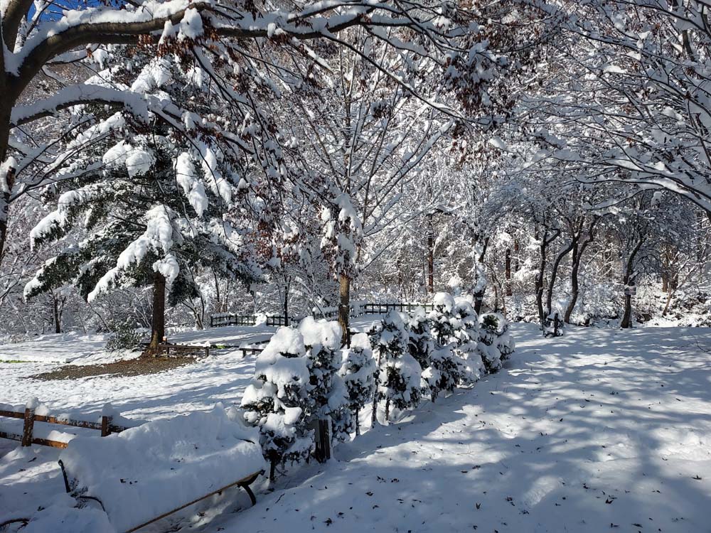횡성산울림오토캠핑장