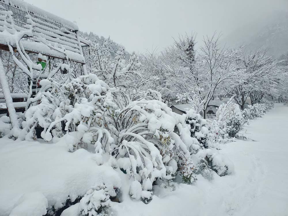 횡성산울림오토캠핑장