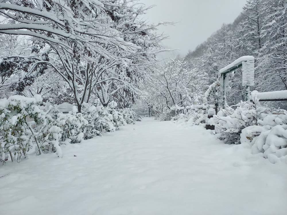 횡성산울림오토캠핑장