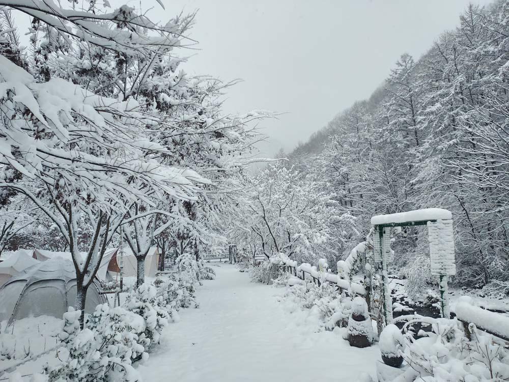 횡성산울림오토캠핑장