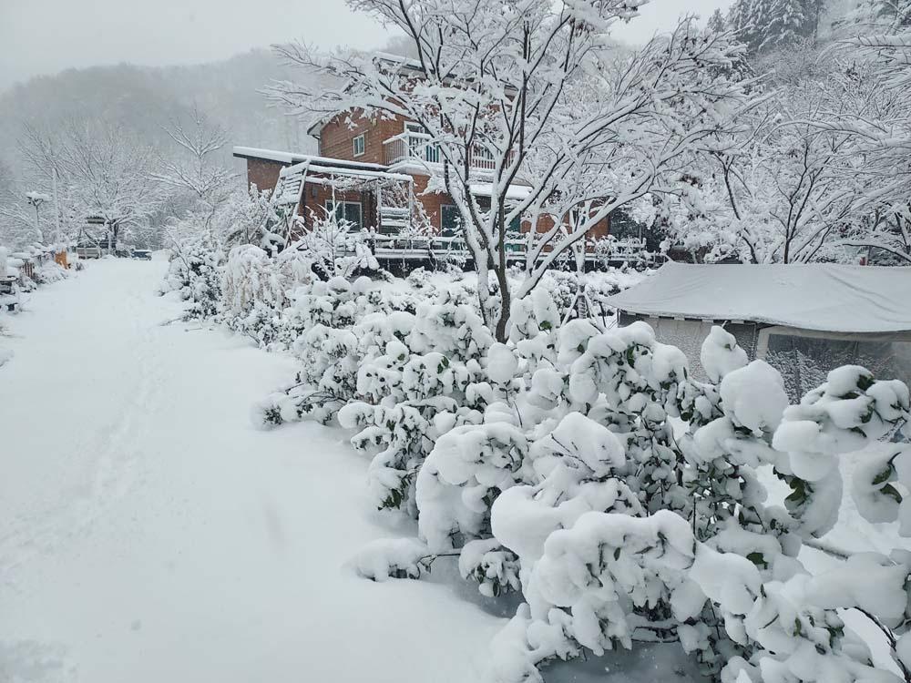 횡성산울림오토캠핑장