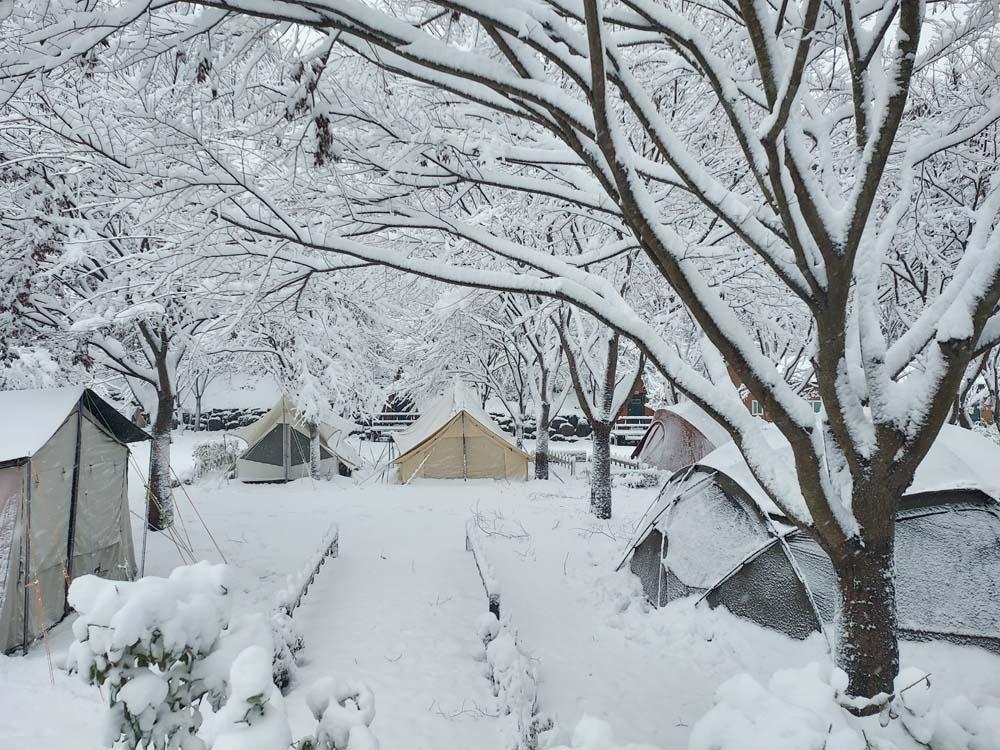 횡성산울림오토캠핑장