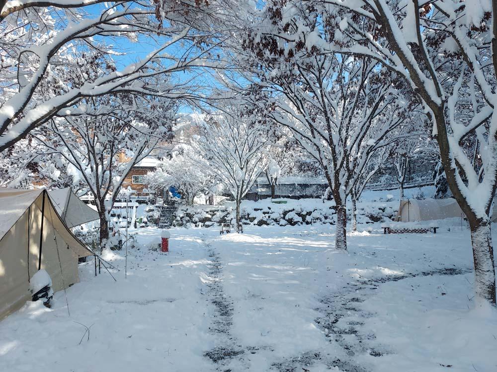 횡성산울림오토캠핑장