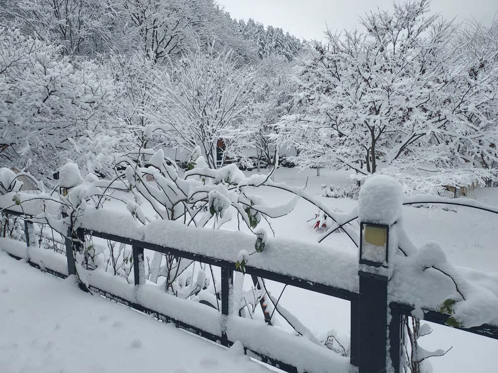 횡성산울림오토캠핑장