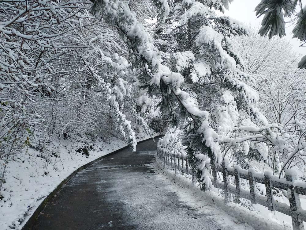 횡성산울림오토캠핑장