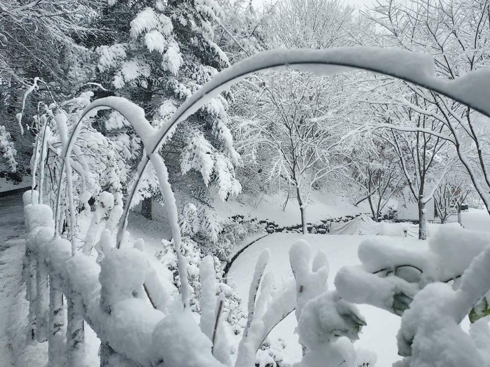 횡성산울림오토캠핑장