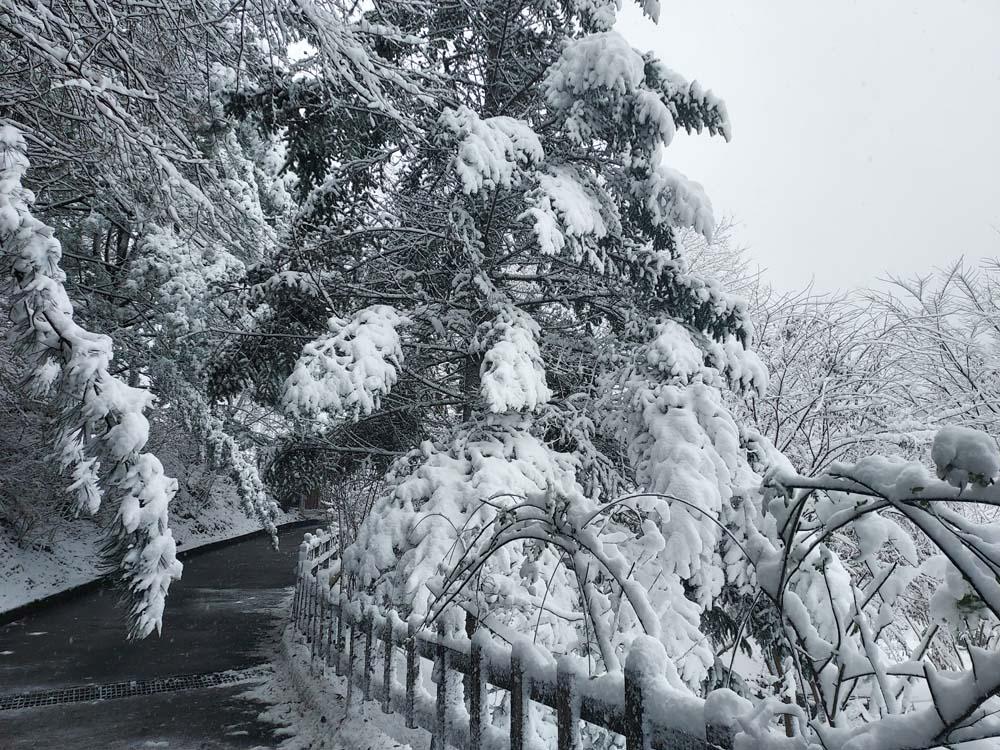 횡성산울림오토캠핑장
