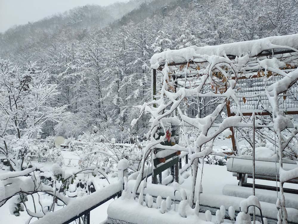 횡성산울림오토캠핑장