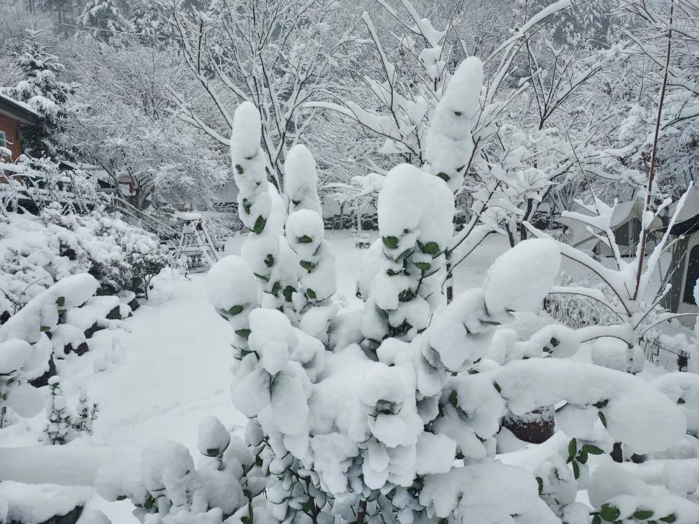 횡성산울림오토캠핑장