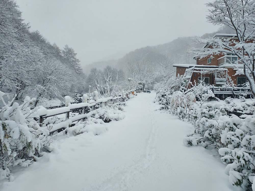 횡성산울림오토캠핑장