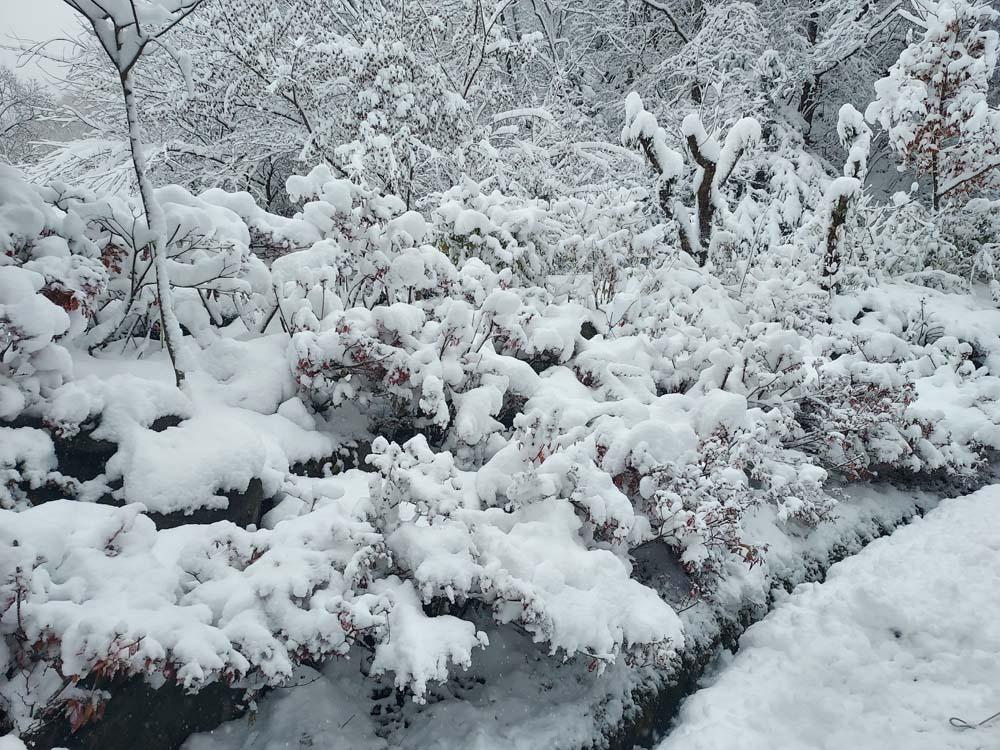 횡성산울림오토캠핑장